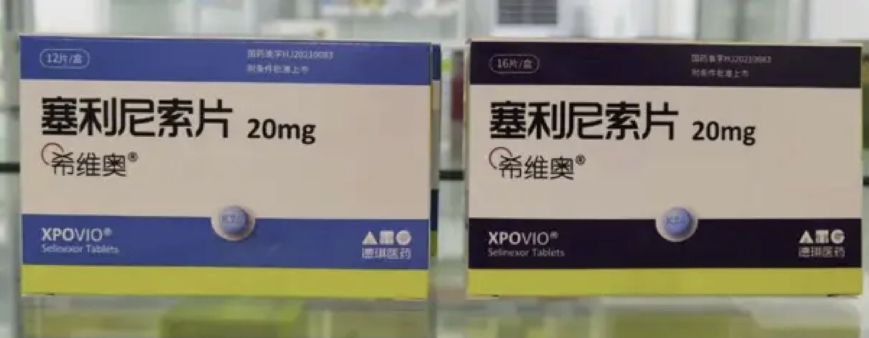 塞利尼索在马来西亚获批上市，为多发性骨髓瘤治疗带来新希望