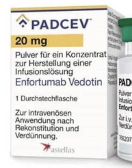 恩诺单抗针对尿路上皮癌 Nectin-4 靶点的创新药物